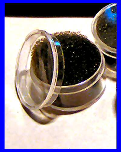 25, 1-inch Plastic BEAD GEM Storage Display Jars BLACK Foam - Click Image to Close