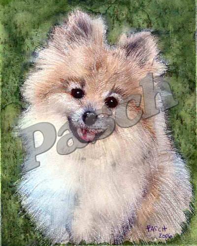 Pet Portraits - Mixed Media
