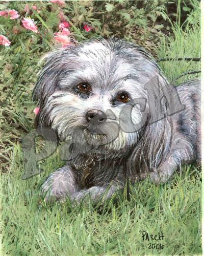 Pet Portraits - Mixed Media