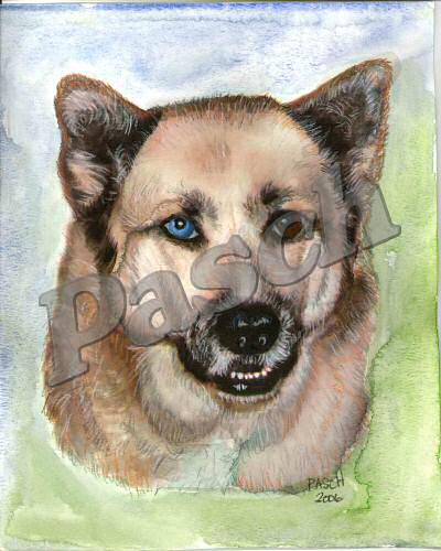 Pet Portraits - Mixed Media