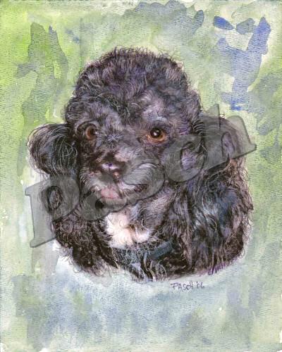 Pet Portraits - Mixed Media
