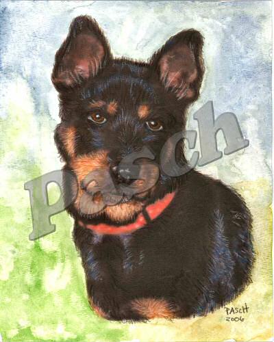 Pet Portraits - Mixed Media