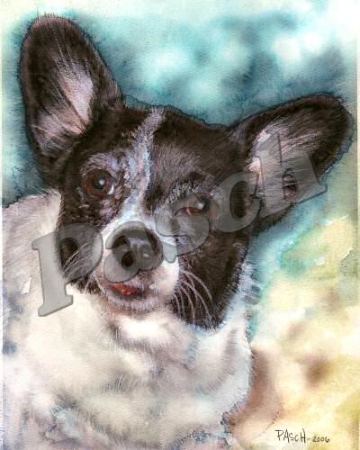 Pet Portraits - Mixed Media